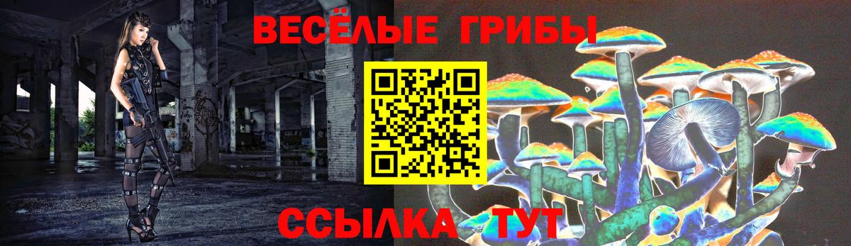 Елец  Галлюциногенные грибы мухоморы  Вход с VPN 